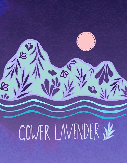 Gower Lavender