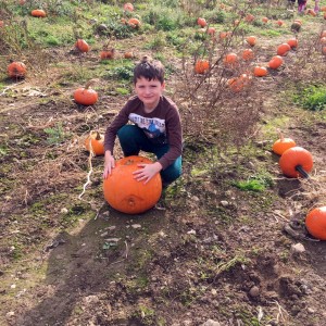 George in the pumpkin patch