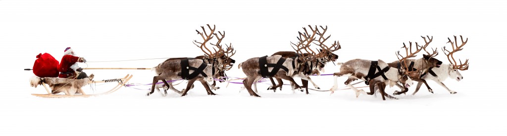 Santa Claus rides in a reindeer sleigh. 