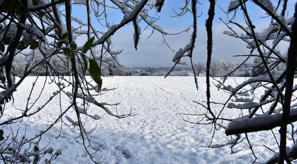 A snowy scene in Swansea Wales