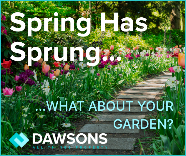 Spring Has Sprung… What About Your Garden?
